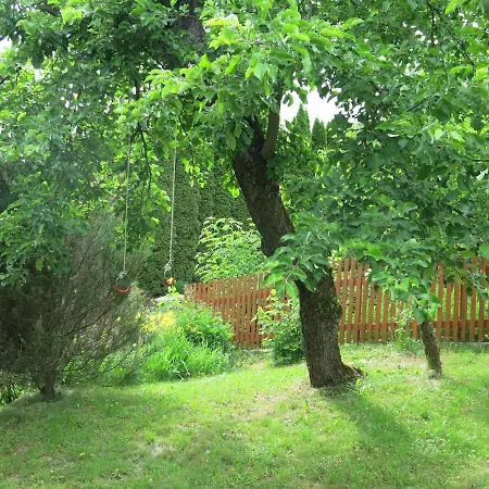 3 * Krzywe (Mragowo)
